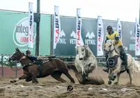 Arena FSF movimenta economia e turismo com leilões e Ranch Sorting