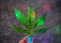 Doces com THC são recolhidos após casos de intoxicação em crianças imagem