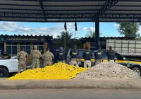 Operação contra facções apreende meia tonelada de drogas e prende 37 na Bahia imagem