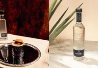 Saiba como harmonizar tequilas premium com pratos sofisticados imagem