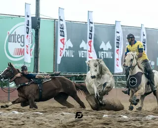 Arena FSF movimenta economia e turismo com leilões e Ranch Sorting