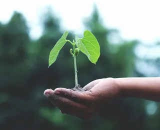 Dia Mundial do Meio Ambiente: oficinas, rodas de conversa e painéis