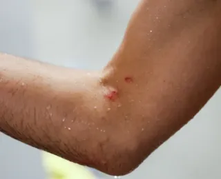 Esposas de jogadores do Bahia detonam árbitro após pênalti
