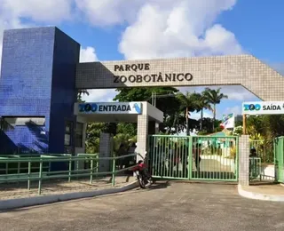 Zoológico de Salvador reabre nesta terça após três meses de reforma
