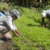Agricultores reunidos farão mais pelo mundo do que as vãs filosofias - Imagem