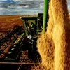 Agronegócio baiano mantém ritmo de crescimento em 2025 - Imagem