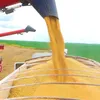Bahia Farm Show inicia em meio a maior produção de soja em 30 anos - Imagem