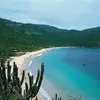 Caribe brasileiro: saiba qual a praia mais preservada do país - Imagem