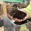 Compostagem caseira: como transformar resíduos em adubo natural - Imagem