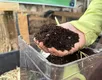 Compostagem caseira: como transformar resíduos em adubo natural - Imagem