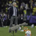 Ancelotti celebra vitória e elogia Seleção: “Achei um jogo completo" imagem