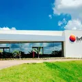 Bebês morrem após multinacional impedir grávida de sair para dar à luz imagem