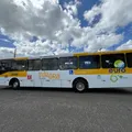 Confira esquema especial de transporte no feriadão junino em Salvador imagem