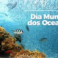 Dia Mundial dos Oceanos imagem