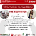 Doação de sangue para pets ocorre neste sábado, em Ondina imagem