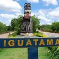 Idoso de 80 anos tem mal súbito e é devorado vivo por animal imagem