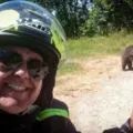 Italiano é atacado e morre logo após tirar selfie com urso imagem