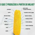 Milho: grão que sacia a humanidade há séculos e move o futuro da indústria imagem