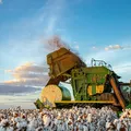 PIB do agronegócio cresce 6,5% no 1º trimestre do ano imagem