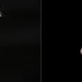 Veja as tretas que levaram ao rompimento entre Trump e Musk imagem