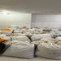 Virou fumaça? Ação da polícia destrói fazenda com 37 mil pés de maconha imagem