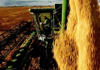 Agronegócio baiano mantém ritmo de crescimento em 2025