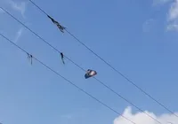 Amigos morrem eletrocutados ao tentar resgatar pipa em fiação elétrica