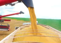Bahia Farm Show inicia em meio a maior produção de soja em 30 anos