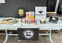 Bebê reborn? Boneca lotada de haxixe é achada em central dos correios
