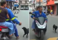 Cachorro 'pega carona' em moto ao vivo na TV e choca web imagem