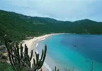 Caribe brasileiro: saiba qual a praia mais preservada do país