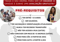 Doação de sangue para pets ocorre neste sábado, em Ondina