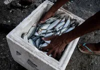E o Dia do Pescador é o Dia da Mentira? É dupla mentira, gritam