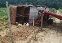 Grávida morre após queda de balão com 33 pessoas em SP imagem