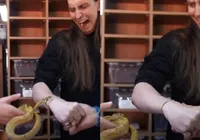 Influenciador é picado por cobra durante gravação: “Passando mal” imagem