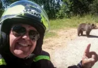 Italiano é atacado e morre logo após tirar selfie com urso