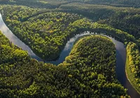 O “raio-x” da natureza