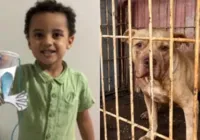 Pitbull adotado há 1 mês ataca e mata criança de 4 anos imagem