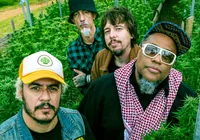 Planet Hemp anuncia término após 30 anos e show em Salvador imagem