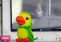 Quem é o Louro Mané? Ator ganha salário de 6 dígitos na Globo imagem