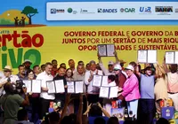 Semeando equilíbrio