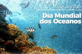 Dia Mundial dos Oceanos - Imagem