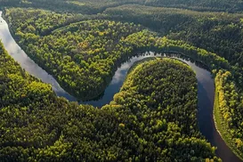 O “raio-x” da natureza - Imagem