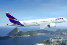 Passageiros voam com ‘viajantes ilustres’ sem nem repararem - Imagem