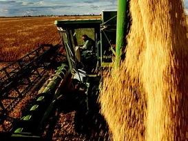 Agronegócio baiano mantém ritmo de crescimento em 2025 - Imagem