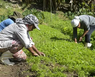 Agricultores reunidos farão mais pelo mundo do que as vãs filosofias
