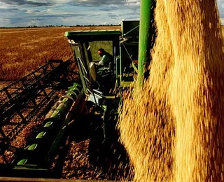 Agronegócio baiano mantém ritmo de crescimento em 2025