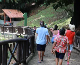 Após reabertura, zoológico recebe 67 mil visitantes no primeiro mês