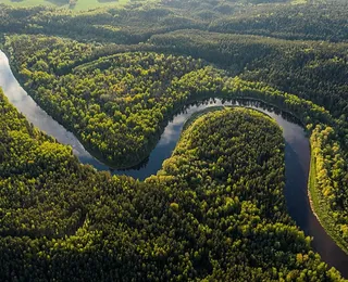 Cientista brasileiro lidera missão espacial para escanear Amazônia e Cerrado