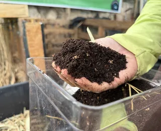 Compostagem caseira: como transformar resíduos em adubo natural